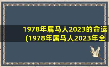 1978年属马人2023的命运(1978年属马人2023年全年运势)