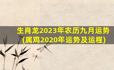 生肖龙2023年农历九月运势