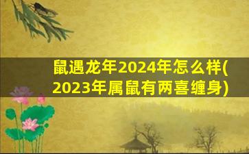 <strong>鼠遇龙年2024年怎么样(</strong>