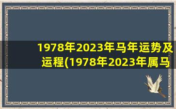 1978年2023年马年运势及运程(1978年2023年属马运势)