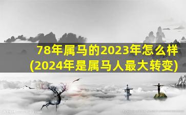 78年属马的2023年怎么样(2024年是属马人最大转变)