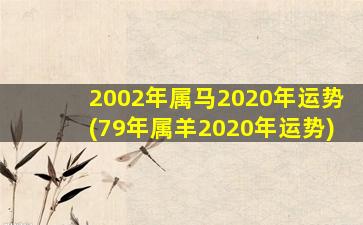 2002年属马2020年运势(79年属羊2020年运势)