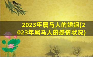 <strong>2023年属马人的婚姻(202</strong>