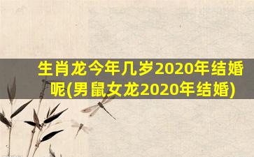 <strong>生肖龙今年几岁2020年结婚</strong>
