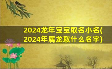 2024龙年宝宝取名小名(