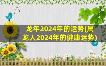 龙年2024年的运势(属龙人2024年的健康运势)