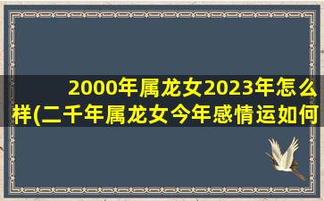 2000年属龙女2023年怎么样(二千年属龙女今年感情运如何)