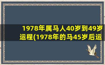 1978年属马人40岁到49岁运程(1978年的马45岁后运势)