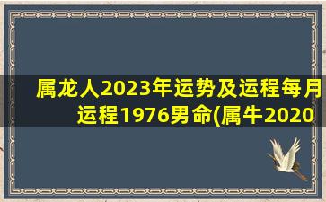 属龙人2023年运势及运程每月运程1976男命(属牛2020年运势及运程)