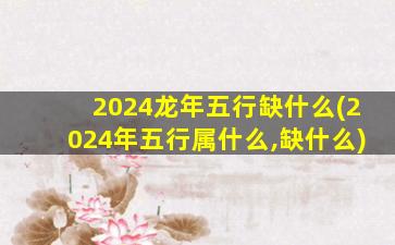 2024龙年五行缺什么(2024年