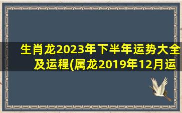 生肖龙2023年下半年运势大全及运程(属龙2019年12月运势)