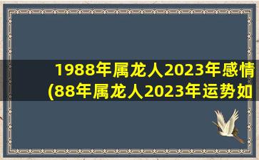 1988年属龙人2023年感情(8