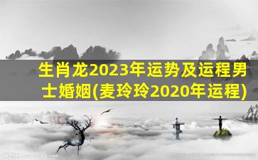 生肖龙2023年运势及运程男