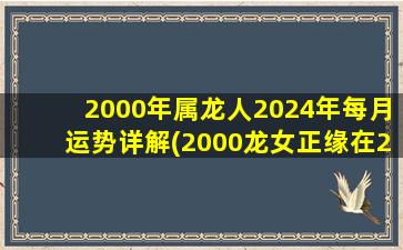 2000年属龙人2024年每月运