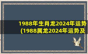 1988年生肖龙2024年运势(1988属龙2024年运势及运程)