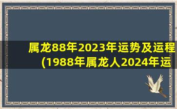 属龙88年2023年运势及运程(1988年属龙人2024年运势运程)