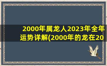 2000年属龙人2023年全年运势详解(2000年的龙在2024年怎么样)