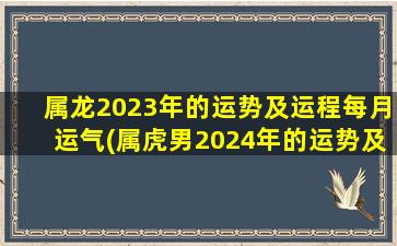 <strong>属龙2023年的运势及运程</strong>