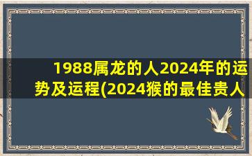 1988属龙的人2024年的运势及运程(2024猴的最佳贵人)