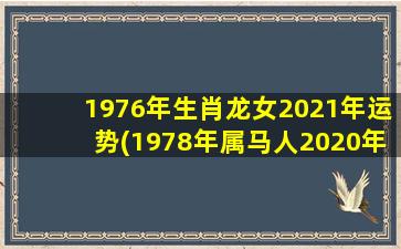 1976年生肖龙女2021年运势(1978年属马人2020年运势)
