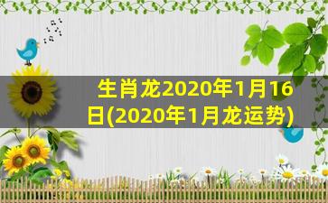 生肖龙2020年1月16日(2020年