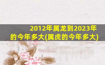 2012年属龙到2023年的今年