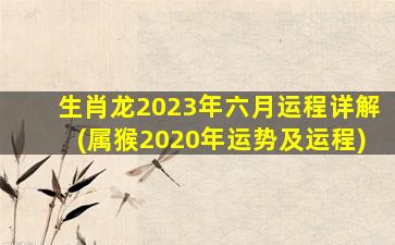 生肖龙2023年六月运程详解