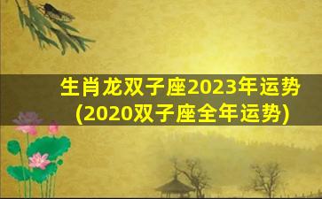 生肖龙双子座2023年运势