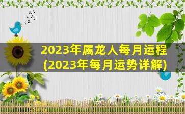 2023年属龙人每月运程(2023年每月运势详解)