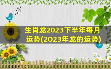 生肖龙2023下半年每月运势(2O23年龙的运势)
