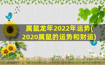 属鼠龙年2022年运势(2020属鼠的运势和财运)