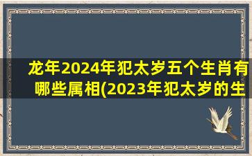 龙年2024年犯太岁五个生肖有哪些属相(2023年犯太岁的生肖犯什么太岁)