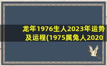 龙年1976生人2023年运势及运程(1975属兔人2020年运势)
