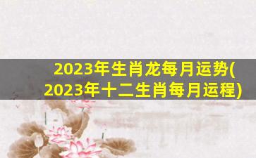 2023年生肖龙每月运势(20