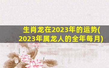 生肖龙在2023年的运势(2023年属龙人的全年每月)