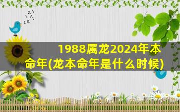 1988属龙2024年本命年(龙本