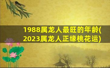 <strong>1988属龙人最旺的年龄(</strong>