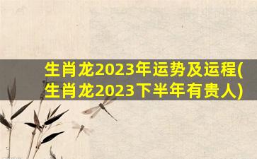 生肖龙2023年运势及运程(生肖龙2023下半年有贵人)