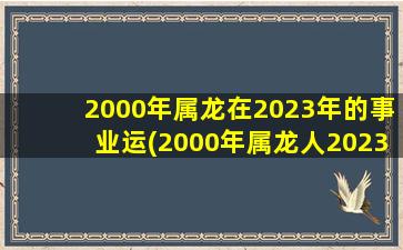 2000年属龙在2023年的事业