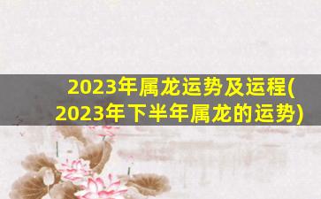 2023年属龙运势及运程(