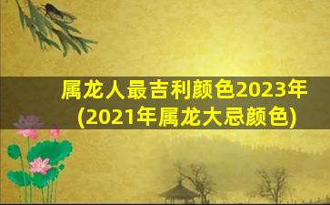 <strong>属龙人最吉利颜色2023年</strong>