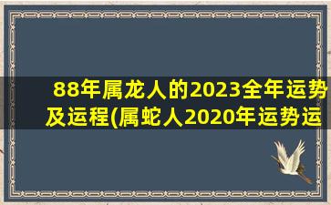 <strong>88年属龙人的2023全年运势</strong>