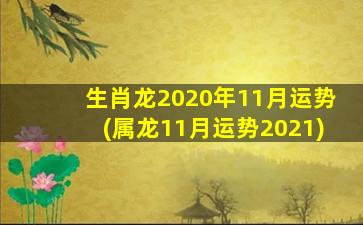 生肖龙2020年11月运势(属