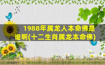 <strong>1988年属龙人本命佛是谁</strong>