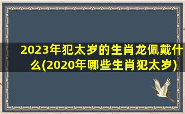 <strong>2023年犯太岁的生肖龙佩</strong>