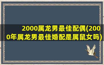 2000属龙男最佳配偶(2000年