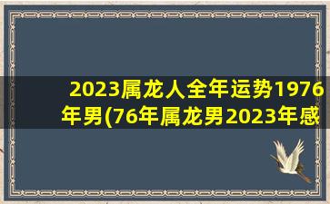 2023属龙人全年运势1976年男(76年属龙男2023年感情运势)