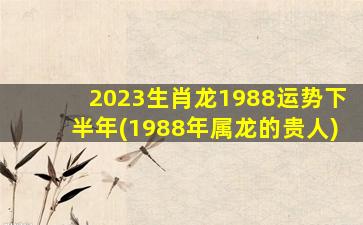 2023生肖龙1988运势下半年