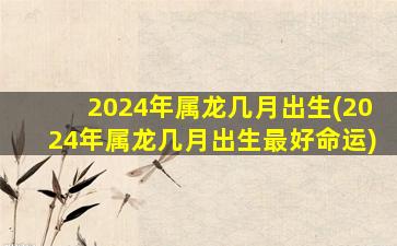 2024年属龙几月出生(2024年属龙几月出生最好命运)