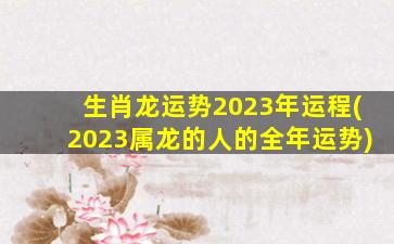 生肖龙运势2023年运程(
